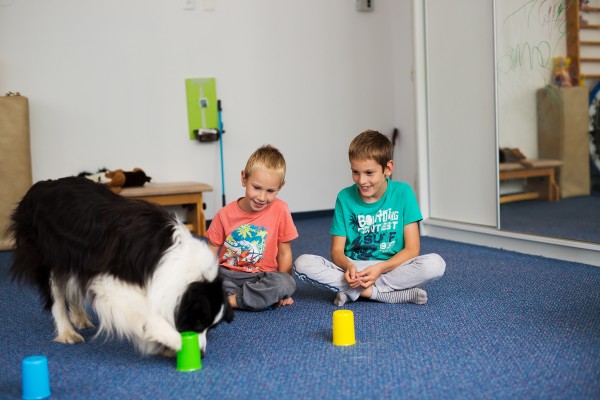 Lentilka-canisterapie