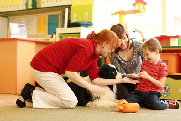 Lentilka-canisterapie