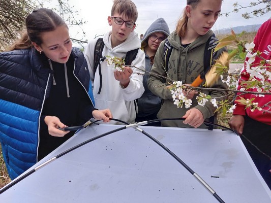 Recyklohraní odměnilo školy z Pardubického kraje, které vedou žáky a studenty k environmentální odpovědnosti